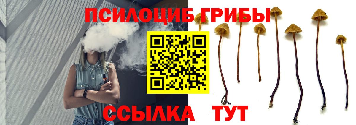 Верхняя Салда  Псилоцибиновые грибы MAGIC MUSHROOMS  Псилоцибиновые грибы MAGIC MUSHROOMS  Вход с VPN 